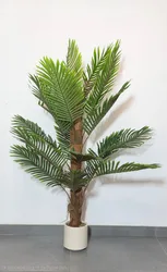 עציץ עץ דקל 1.2 מטר